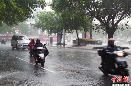 11月11日，廣西北海街頭，民眾駕駛摩托車和汽車迎著強風暴雨出行。中新社發 馮抒敏 攝