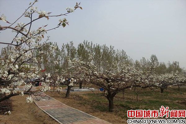 三河市第三屆健康休閑旅游文化節