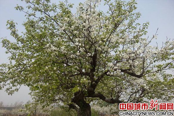 三河市第三屆健康休閑旅游文化節