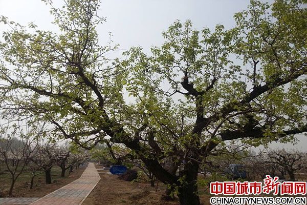 三河市第三屆健康休閑旅游文化節