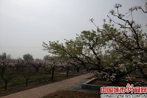 三河市第三屆健康休閑旅游文化節