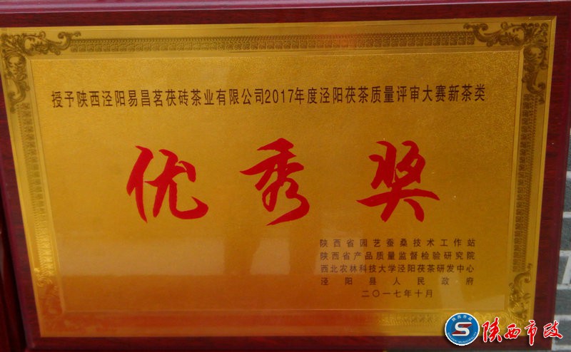 2017年涇陽大賽優秀獎.jpg