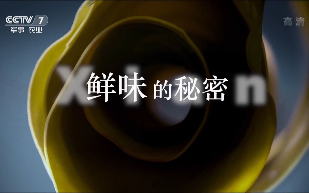 圖片9