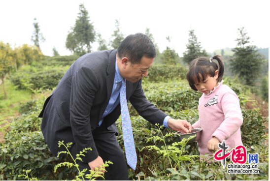 “文明中華生態(tài)茶葉基地”落戶安順