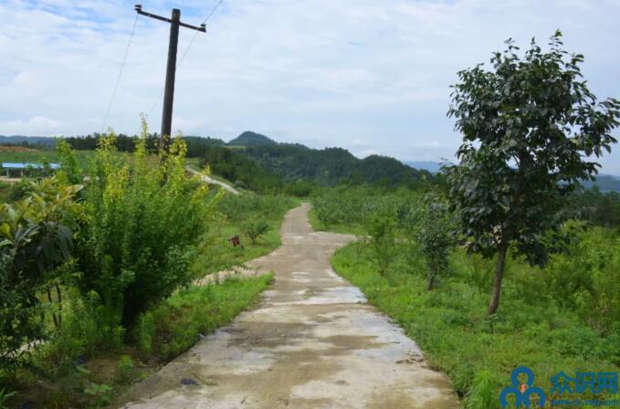 QQ截圖20190630092005.jpg